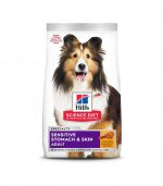 Nylabone Dura Chew Cheese Bone - تصویر 4